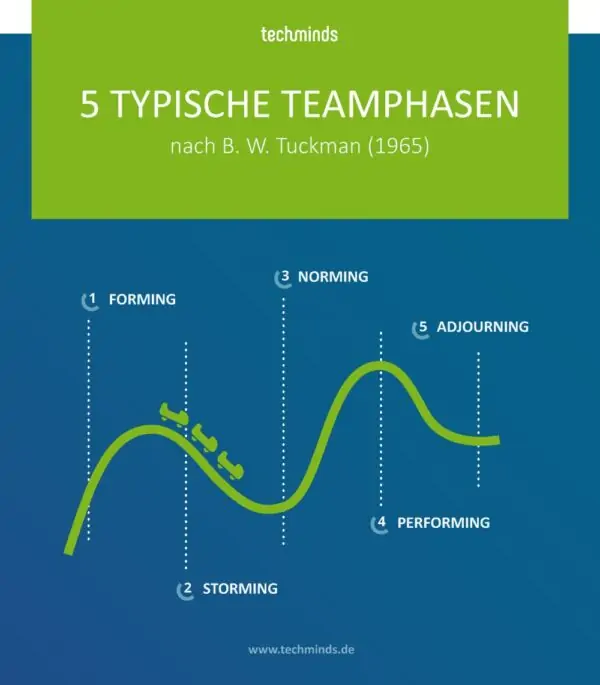 5 typische Teamphasen | TechMinds