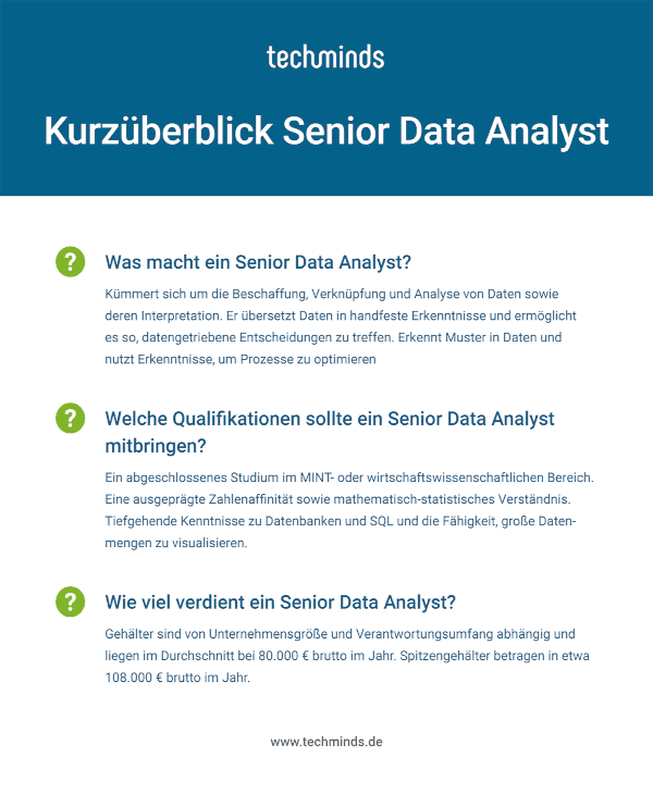 Senior Data Analyst Kurzüberblick