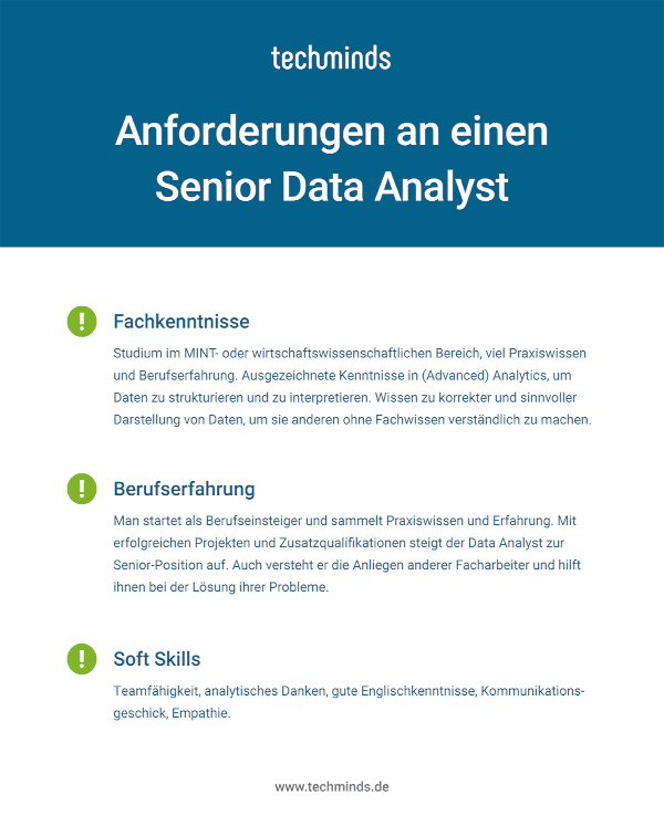 Senior Data Analyst Anforderungen