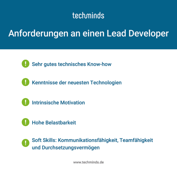 Anforderungen Lead Developer