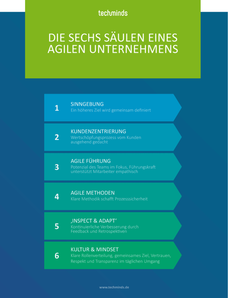 Agiles Unternehmen, 6 Säulen | TechMinds