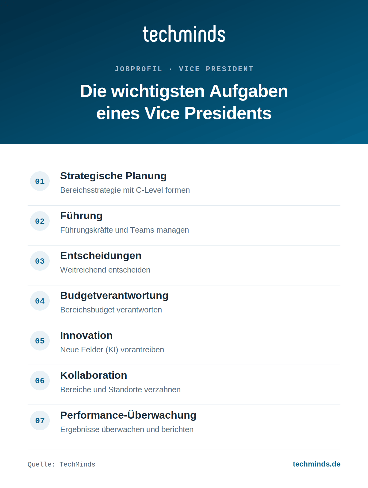 vice-president-aufgaben-im-ueberblick Sieben Kernaufgaben des Vice Presidents: Strategie, Führung, Entscheidungen, Budget, Innovation, Performance.